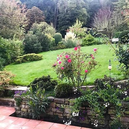 Ferienwohnung Ein Zuhause mit schönem Garten Bonn Exterior foto