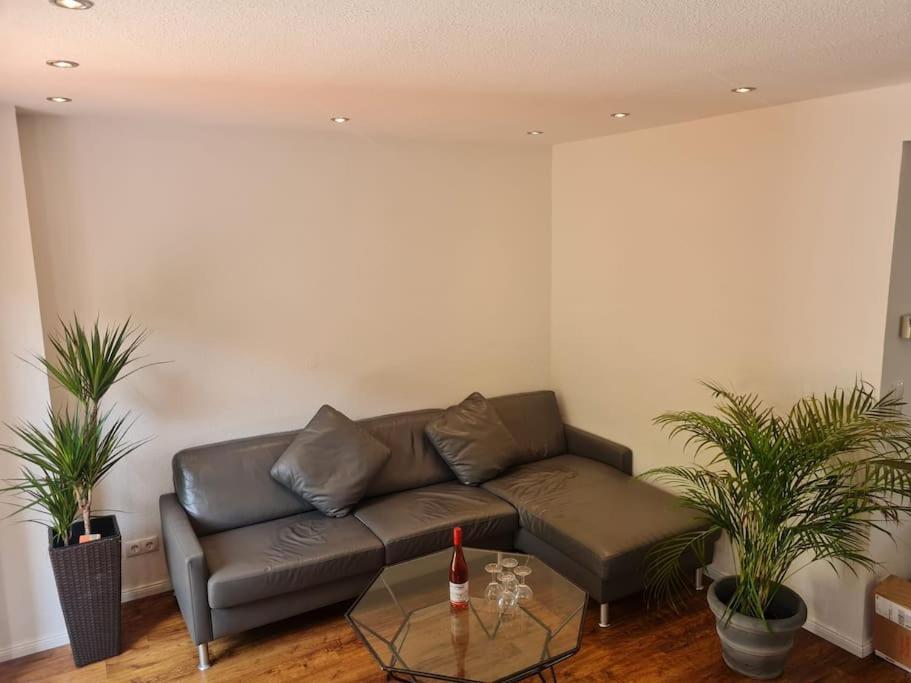 Ferienwohnung Ein Zuhause mit schönem Garten Bonn Exterior foto